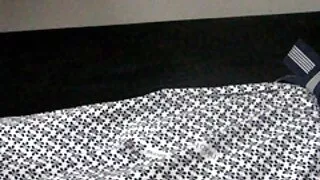 অদ্ভুত প্যালিড নিম্ফ ...