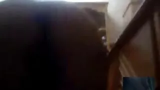 মিষ্টি এবং শৃঙ্গাকার ...