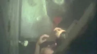 নোংরা মনের শ্যামাঙ্গ ...