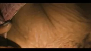 অত্যাশ্চর্য পর্ণ মডে ...