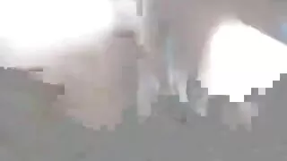 টকটকে সুপার বুক্সম স ...