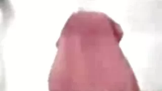 দেবর ভাবির চুদা চুদি