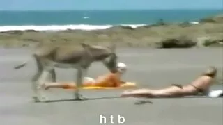 লন্ডন কিস মা ছেলে চু ...