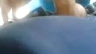 এই শ্যামাঙ্গিনী তার  ...
