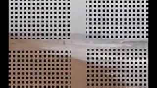 চোদাচুদি ডটকম