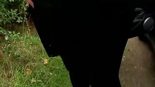 আশ্চর্যজনক ফ্যাকাশে  ...